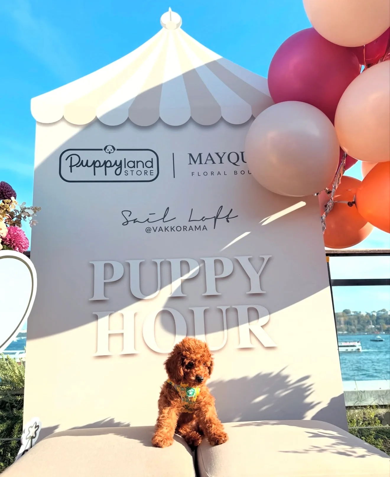 Bu ışıltılı hayatı biz seçtik ✨